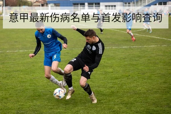 意甲最新伤病名单与首发影响查询